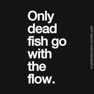 Meet your Posher, Carmelo